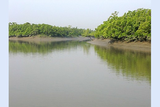 Viaggio in India 2008 - Sunderbans